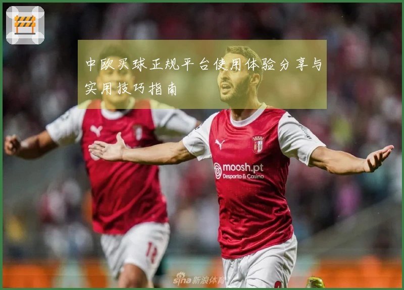 中欧买球正规平台使用体验分享与实用技巧指南