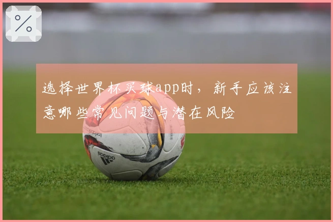选择世界杯买球app时，新手应该注意哪些常见问题与潜在风险