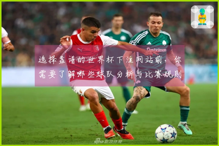 选择靠谱的世界杯下注网站前，你需要了解哪些球队分析与比赛规则？