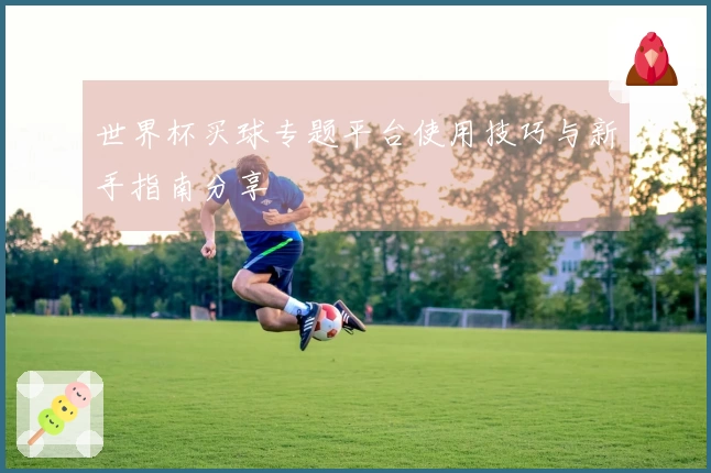 世界杯买球专题平台使用技巧与新手指南分享