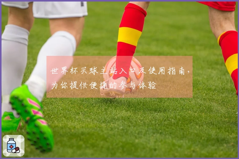 世界杯买球主站入口及使用指南，为你提供便捷的参与体验