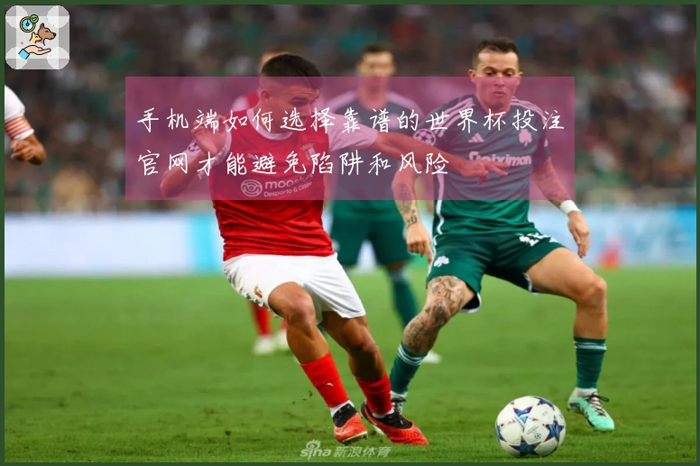 手机端如何选择靠谱的世界杯投注官网才能避免陷阱和风险