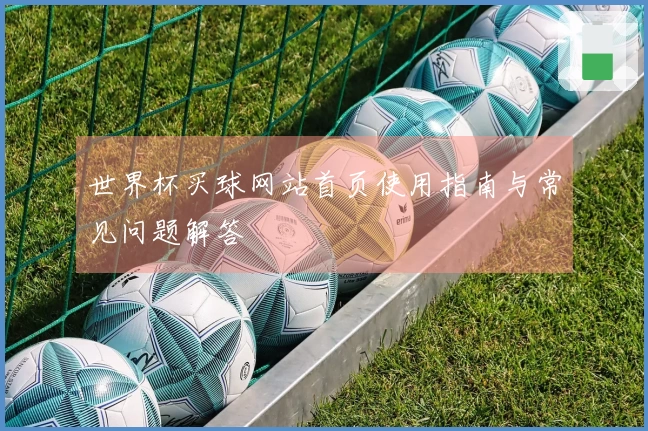 世界杯买球网站首页使用指南与常见问题解答