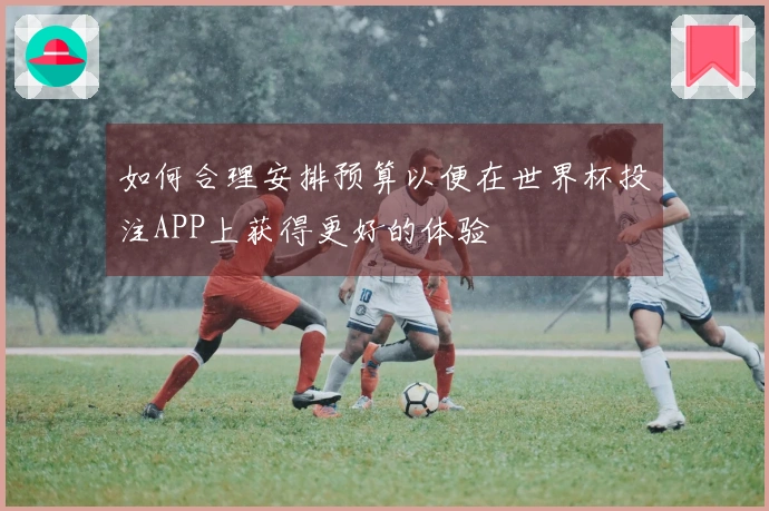 如何合理安排预算以便在世界杯投注APP上获得更好的体验