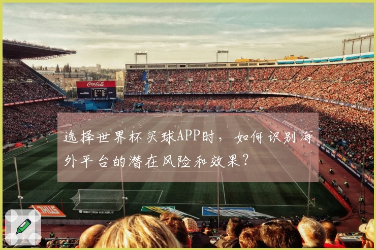 选择世界杯买球APP时，如何识别海外平台的潜在风险和效果？