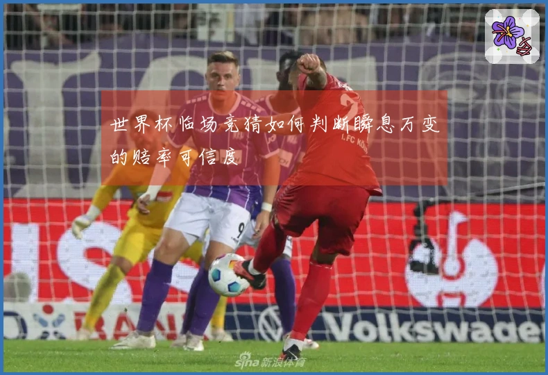 世界杯临场竞猜如何判断瞬息万变的赔率可信度