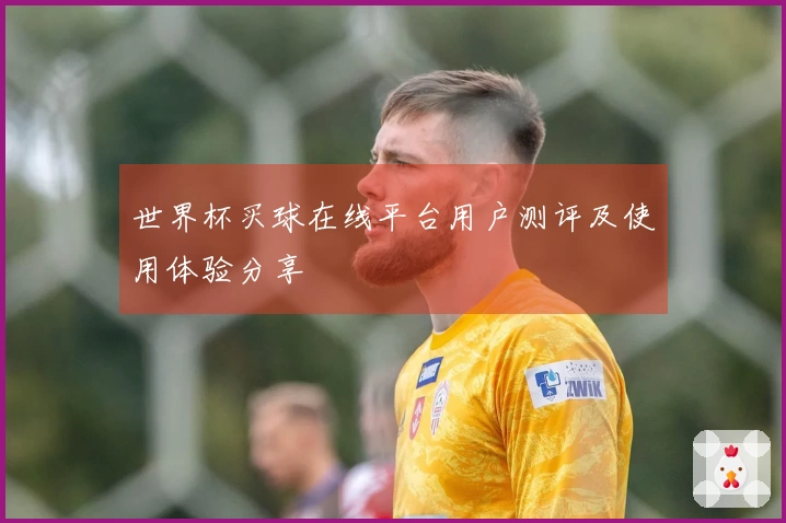 世界杯买球在线平台用户测评及使用体验分享