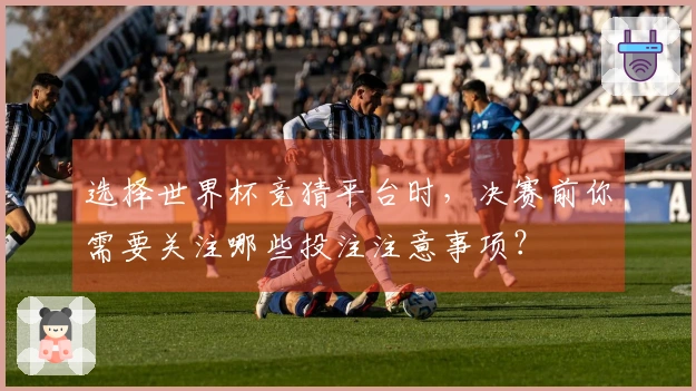 选择世界杯竞猜平台时，决赛前你需要关注哪些投注注意事项？
