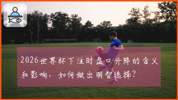 2026世界杯下注时盘口升降的含义和影响，如何做出明智选择？