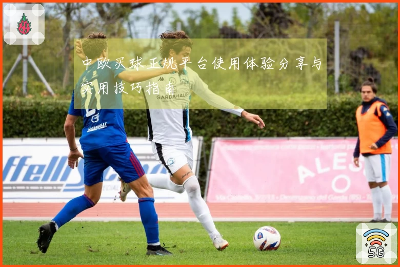 中欧买球正规平台使用体验分享与实用技巧指南