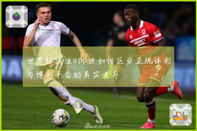 世界杯投注app该如何区分正规体彩与博彩平台的真实差异
