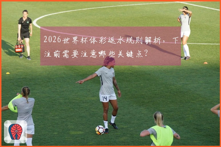 2026世界杯体彩返水规则解析，下注前需要注意哪些关键点？