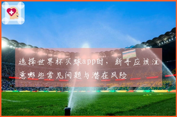 选择世界杯买球app时，新手应该注意哪些常见问题与潜在风险