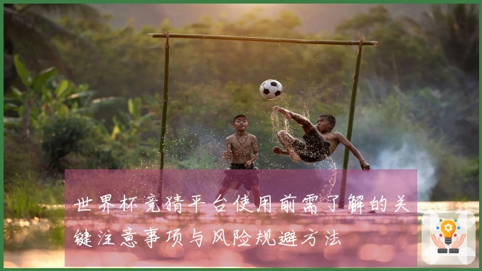 世界杯竞猜平台使用前需了解的关键注意事项与风险规避方法