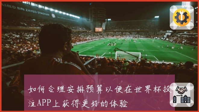 如何合理安排预算以便在世界杯投注APP上获得更好的体验