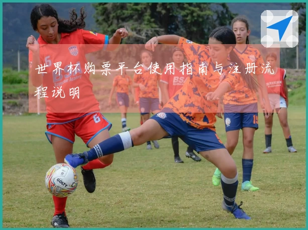 世界杯购票平台使用指南与注册流程说明