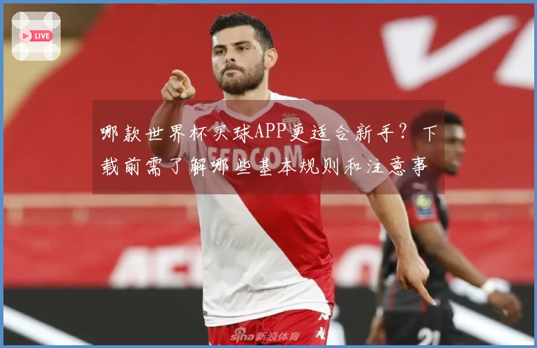 哪款世界杯买球APP更适合新手？下载前需了解哪些基本规则和注意事项