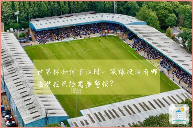 世界杯如何下注时，滚球投注有哪些潜在风险需要警惕？