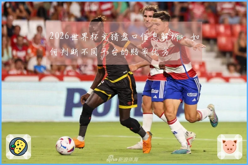 2026世界杯竞猜盘口信息解析，如何判断不同平台的赔率优劣