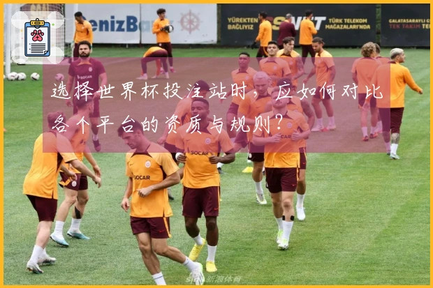 选择世界杯投注站时，应如何对比各个平台的资质与规则？