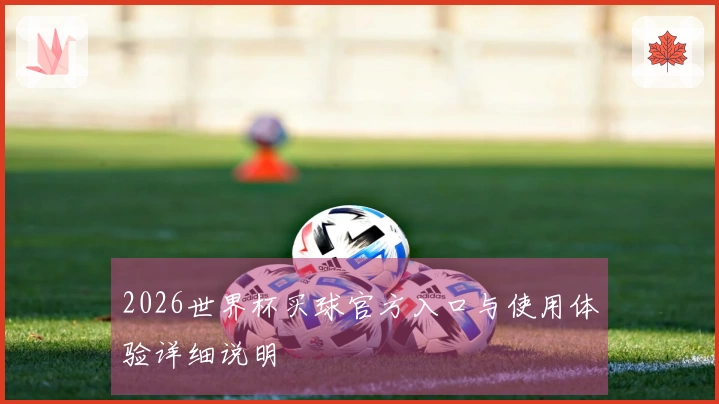 2026世界杯买球官方入口与使用体验详细说明