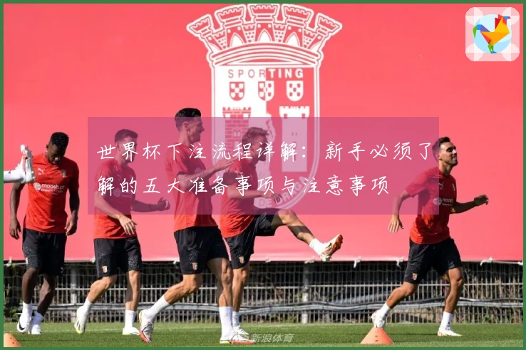 世界杯下注流程详解：新手必须了解的五大准备事项与注意事项