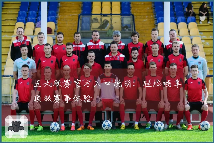 五大联赛官方入口说明：轻松畅享顶级赛事体验