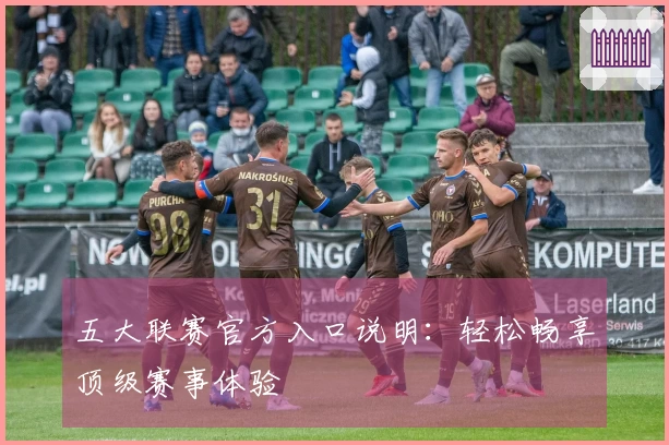 五大联赛官方入口说明：轻松畅享顶级赛事体验
