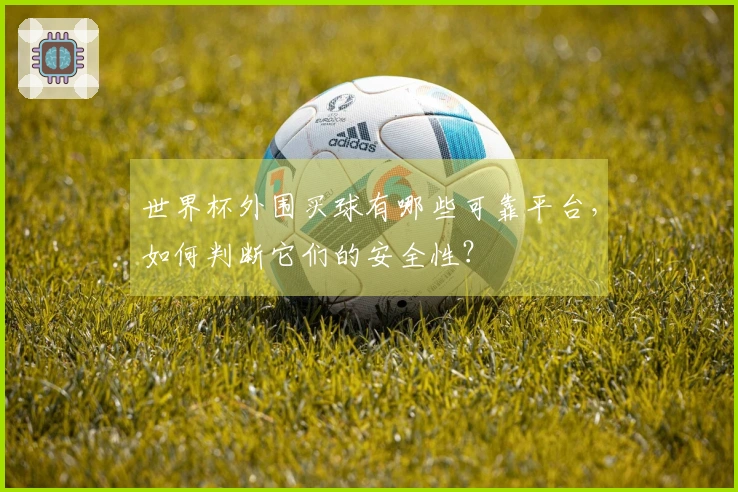 世界杯外围买球有哪些可靠平台，如何判断它们的安全性？