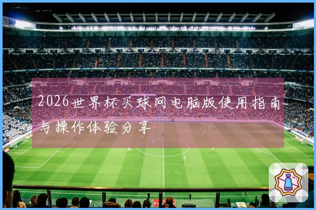 2026世界杯买球网电脑版使用指南与操作体验分享