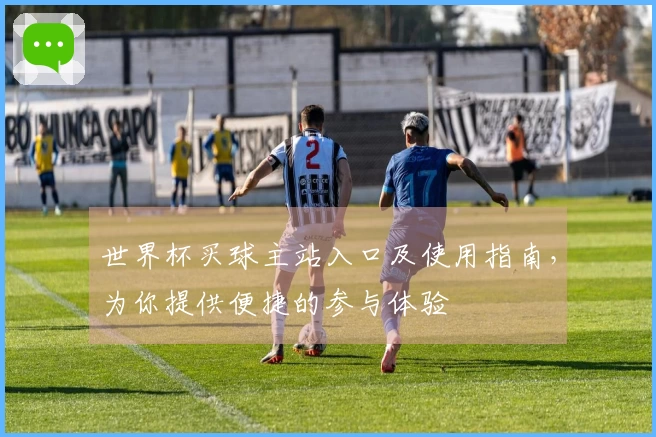 世界杯买球主站入口及使用指南，为你提供便捷的参与体验