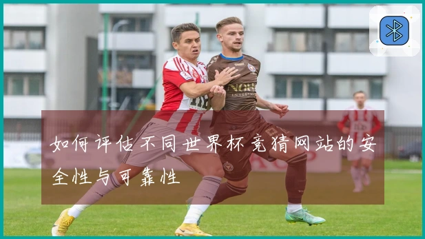 如何评估不同世界杯竞猜网站的安全性与可靠性